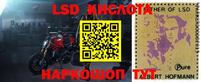шишки Заводоуковск