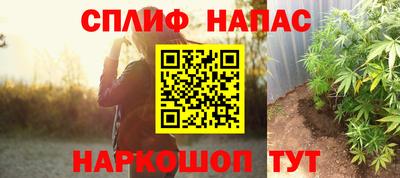 шишки Заводоуковск