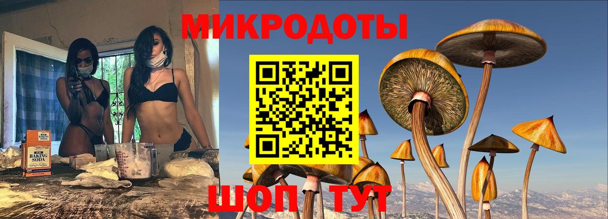 Псилоцибиновые грибы Psilocybe  Вход с VPN  Малоярославец 